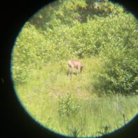 DofE – kvalifikačné expedície (69/120)