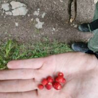DofE – kvalifikačné expedície (95/120)