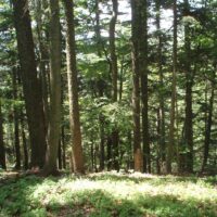 DofE – kvalifikačné expedície (110/120)