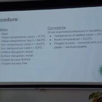 Science Project DP1 (45/56)
