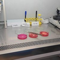 Prehliadka Združenej tkanivovej banky na LF UPJŠ (5/5)