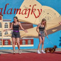 48. Kalamajky (2025) (80/269)