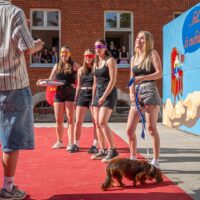 48. Kalamajky (2025) (85/269)