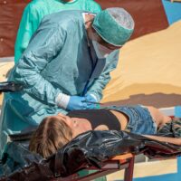 48. Kalamajky (2025) (157/269)