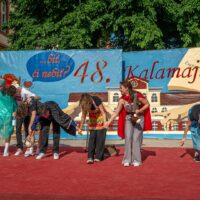 48. Kalamajky (2025) (167/269)