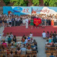 48. Kalamajky (2025) (265/269)