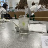 Školské kolo Biologickej olympiády (17/26)