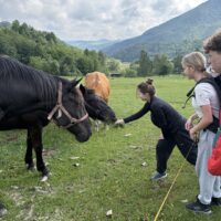 Expedičná sezóna DofE 2026 (46/101)