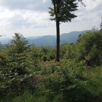 Expedičná sezóna DofE 2026 (73/101)