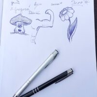 Expedičná sezóna DofE 2026 (86/101)