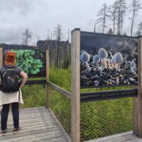 Erasmus+ v Neratoviciach (16/75)