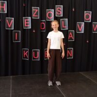 Krajské kolo Hviezdoslavovho Kubína (2/4)