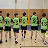 Krajské kolo vo volejbale (2/19)