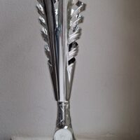 Krajské kolo vo volejbale (19/19)