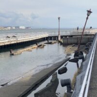 Účasť našich študentov na svetovej výstave Expo Osaka 2025 (20/63)