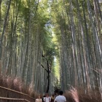 Účasť našich študentov na svetovej výstave Expo Osaka 2025 (28/63)