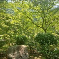 Účasť našich študentov na svetovej výstave Expo Osaka 2025 (32/63)