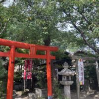 Účasť našich študentov na svetovej výstave Expo Osaka 2025 (43/63)